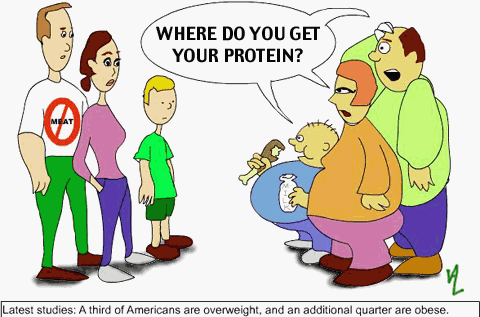 protein