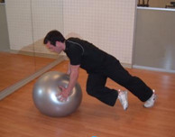 Stability Ball Cross Body Mountain Climber Exercise