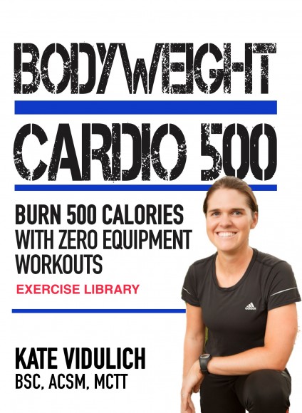 fat burning high intensity low impact home cardio workout