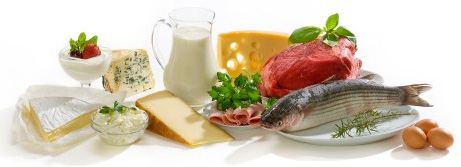 high-protein-foods