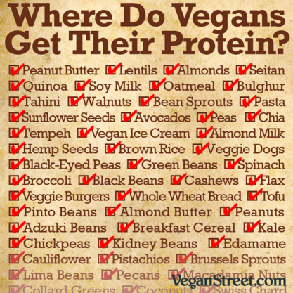 wheredovegansgettheirprotein-lg