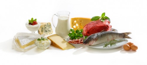protein-sources-500x224