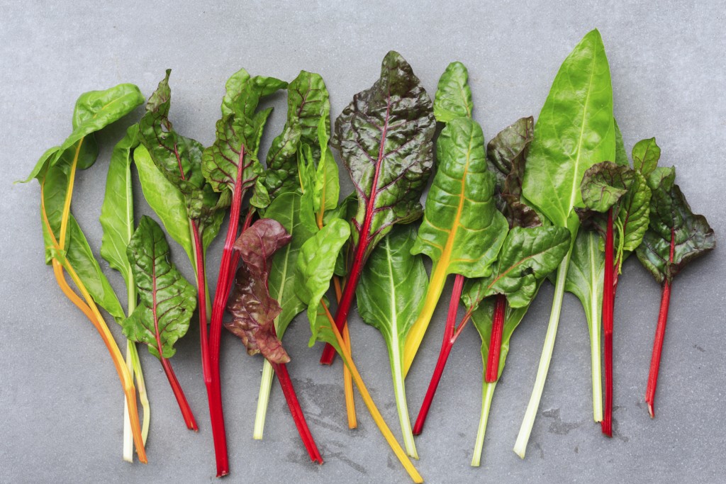 Rainbow Chard leaves