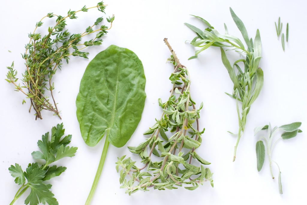 10 Herbs For An Easy Kitchen Garden - Early To Rise