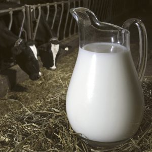 healthy milk