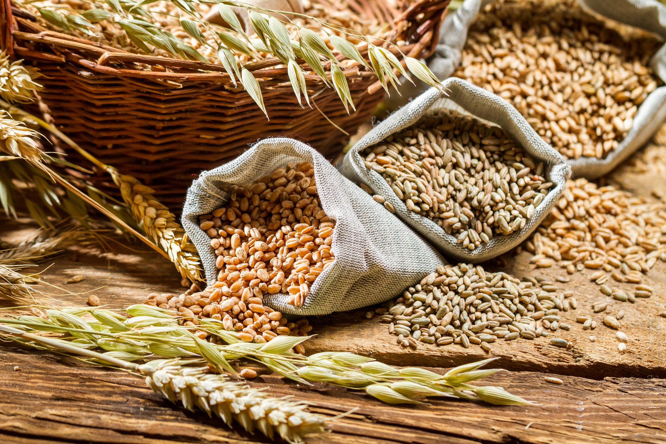 Whole Grains 101 What To Buy Early To Rise