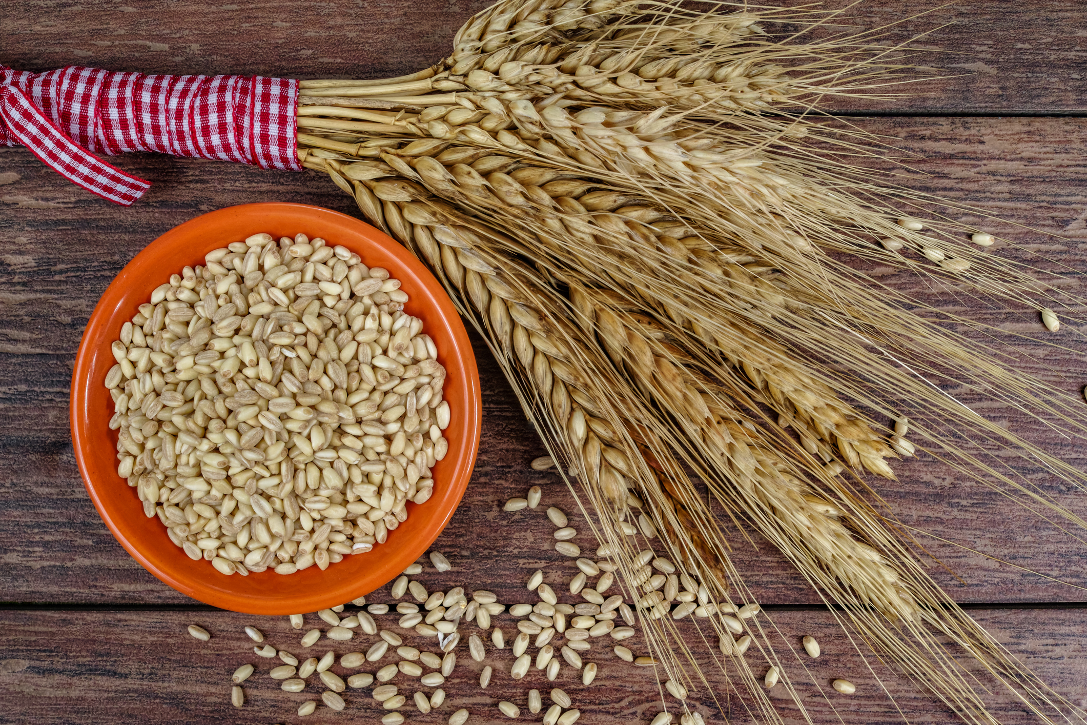 Whole Grains 101: The Miracle Food