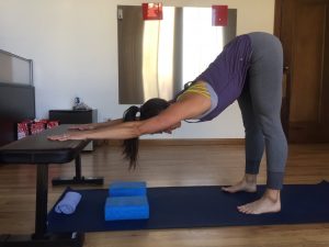 modified downward dog yoga pose