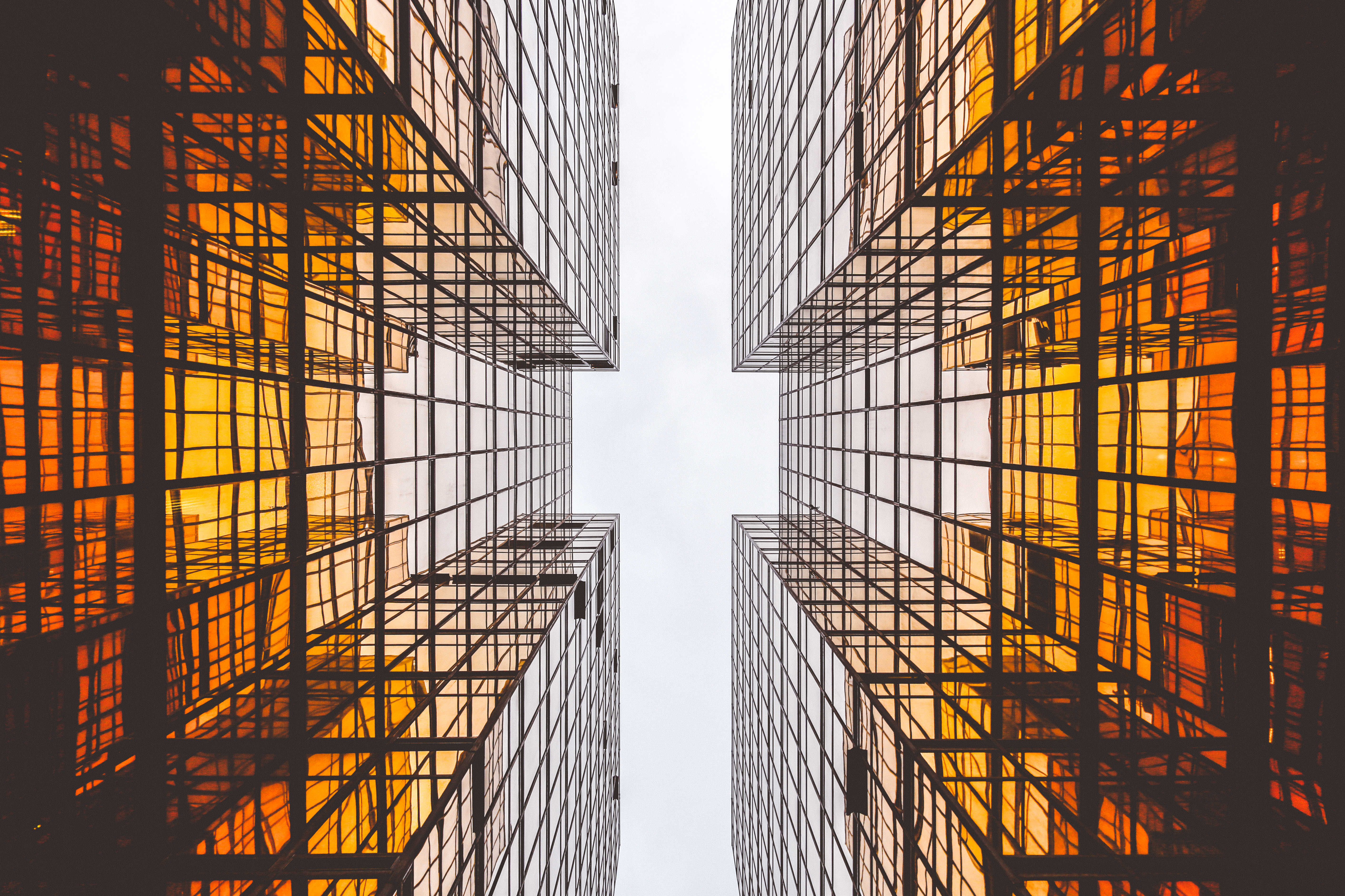 How Billion-Dollar Companies Plan for the Future