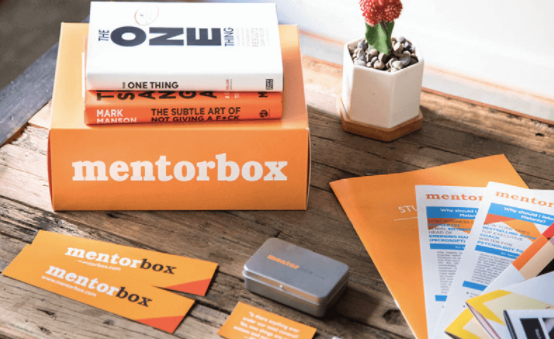 Mentor Box