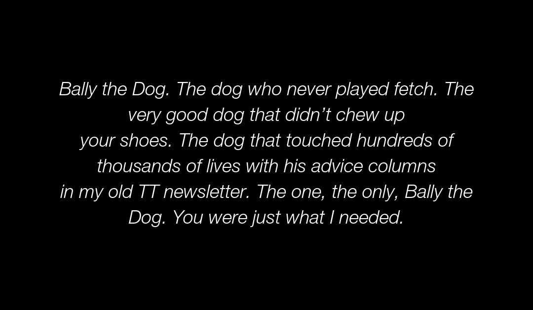078 – 7 Life Lessons from Bally the Dog