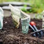 laws of wealth creation